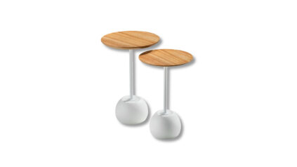 apple mini pavia.jpg